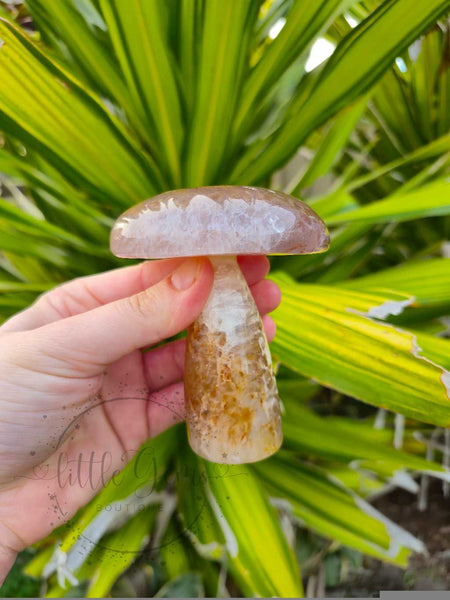 Druzy Agate Mushroom 003