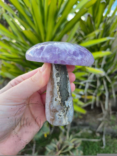 Amethyst Mushroom