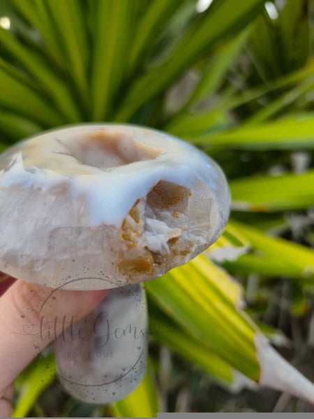 Druzy Agate Mushroom 005