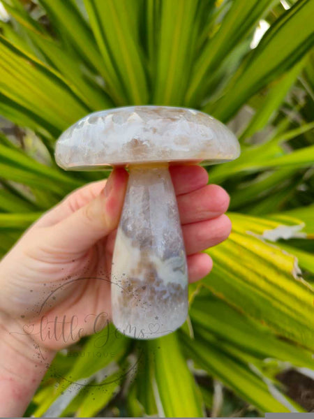 Druzy Agate Mushroom 005