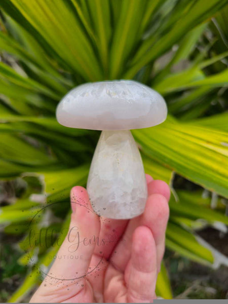 Druzy Agate Mushroom 006