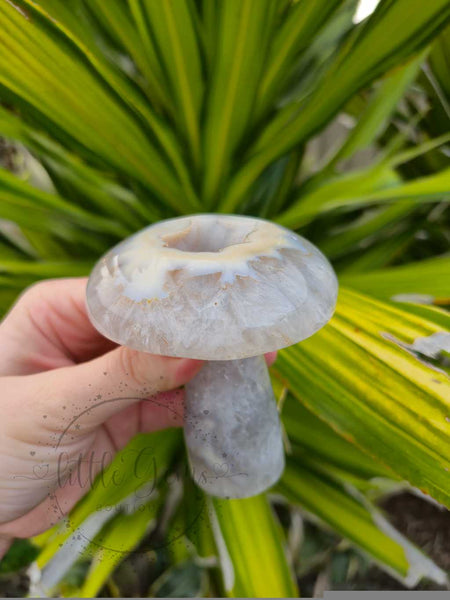 Druzy Agate Mushroom 005