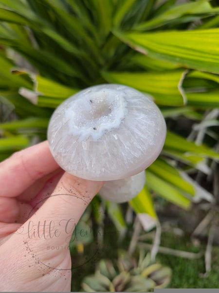 Druzy Agate Mushroom 006