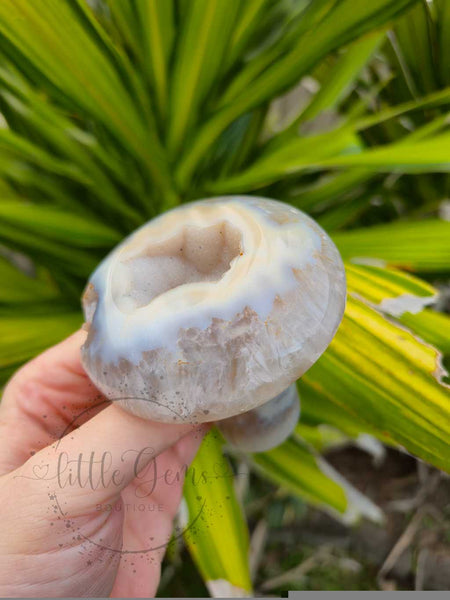 Druzy Agate Mushroom 005