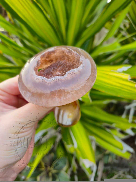 Druzy Agate Mushroom 003