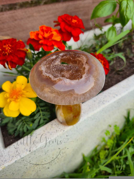 Druzy Agate Mushroom 003