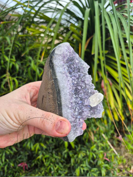 Amethyst cut base, with Calcite