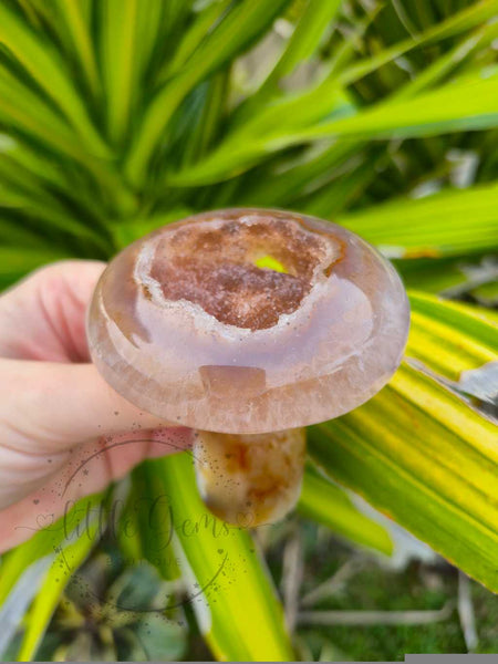 Druzy Agate Mushroom 003