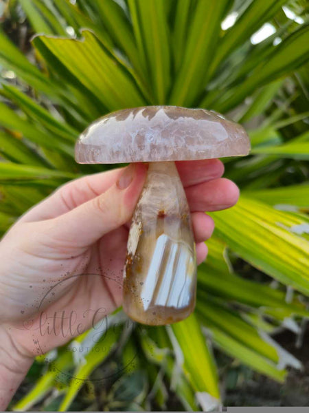 Druzy Agate Mushroom 003