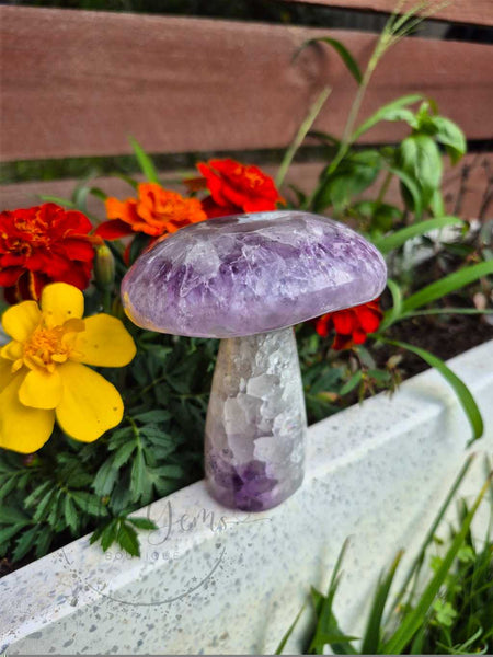Amethyst Mushroom