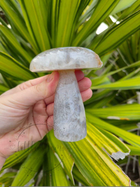 Druzy Agate Mushroom 005