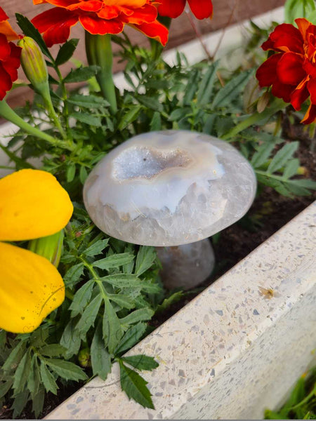 Druzy Agate Mushroom 002