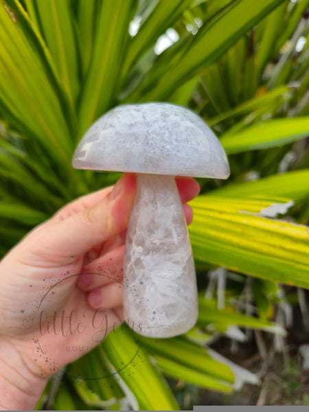 Druzy Agate Mushroom 004