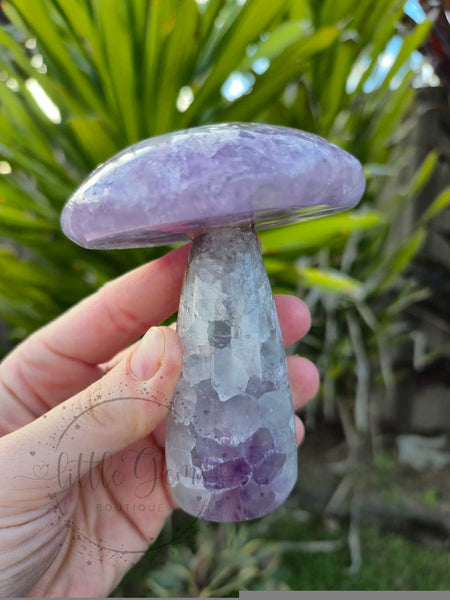 Amethyst Mushroom