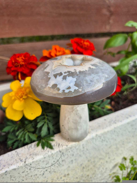 Druzy Agate Mushroom 001