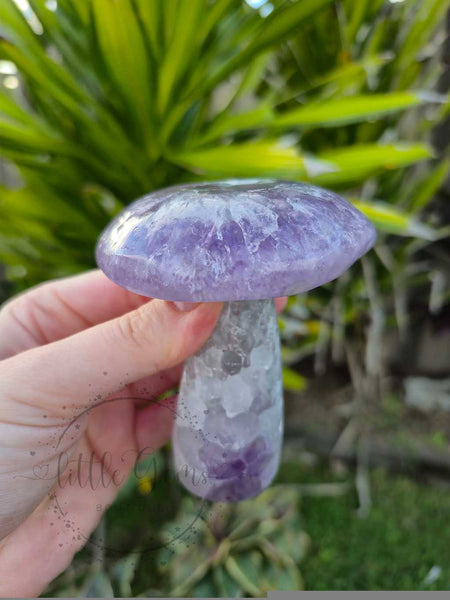 Amethyst Mushroom